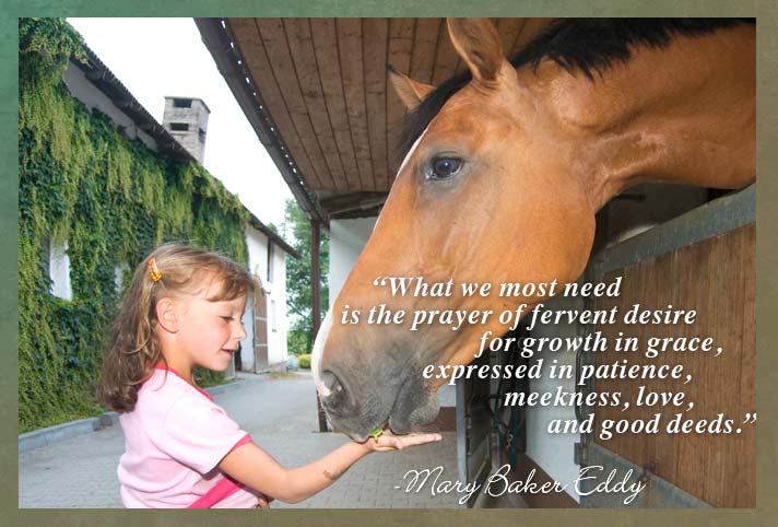 What we most need is the prayer of fervent desire for growth in grace, expressed in patience, meekness, love, and good deeds. -Mary Baker Eddy