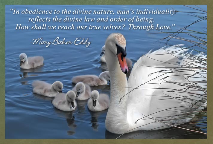 “In obedience to the divine nature, man's individuality reflects the divine law and order of being. How shall we reach our true selves? Through Love.” -Mary Baker Eddy